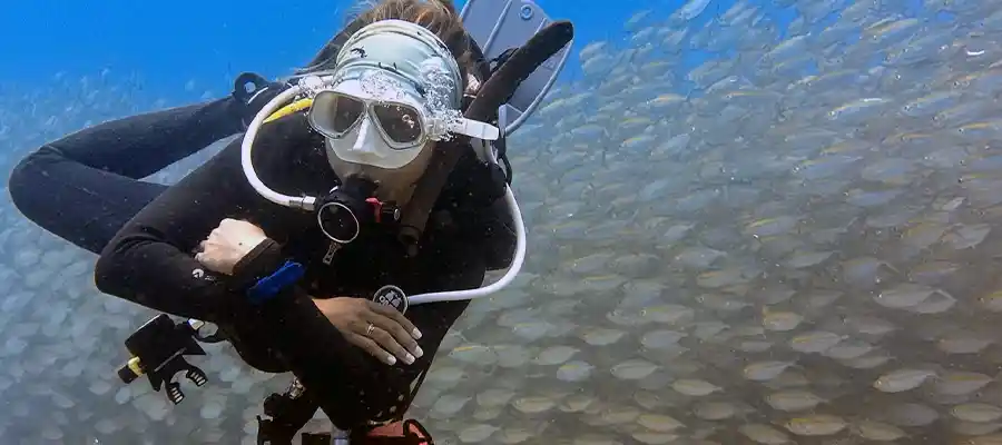 Pro Level Diver in a school of fish
