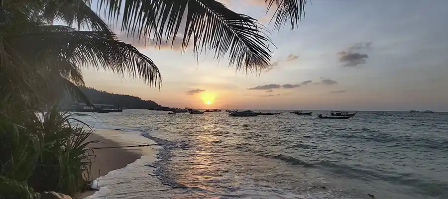 Train with the best dive school on Koh Tao