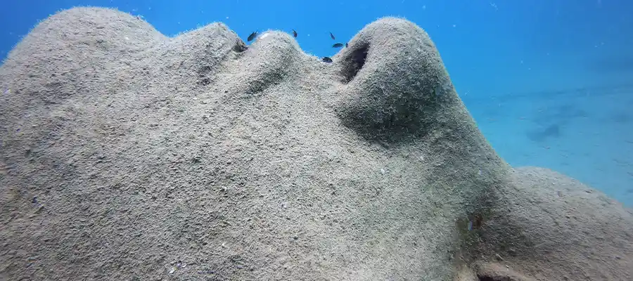An artificial reef structure on Koh Tao called Mazu