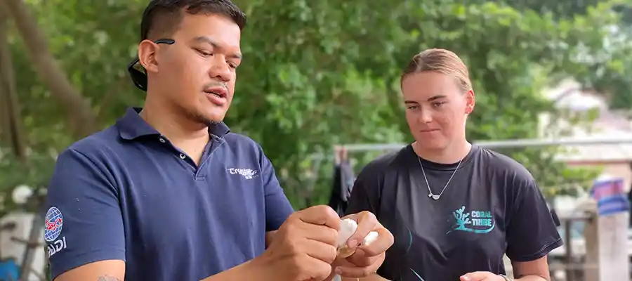 Crystal Dive and The Coral Tribe working together