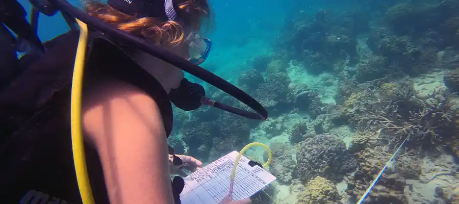 Collecting research data on coral reef health