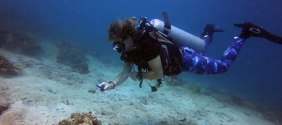 Good trim needed for coral reef scuba diving