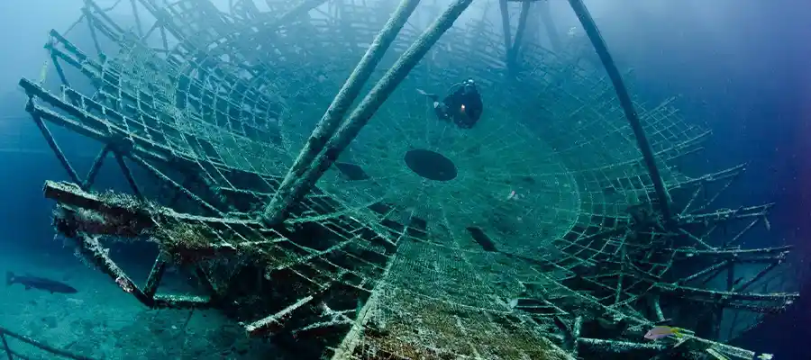 Diving on the Vandenberg