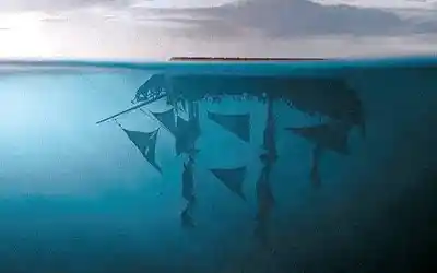 Black Pearl artificial reef