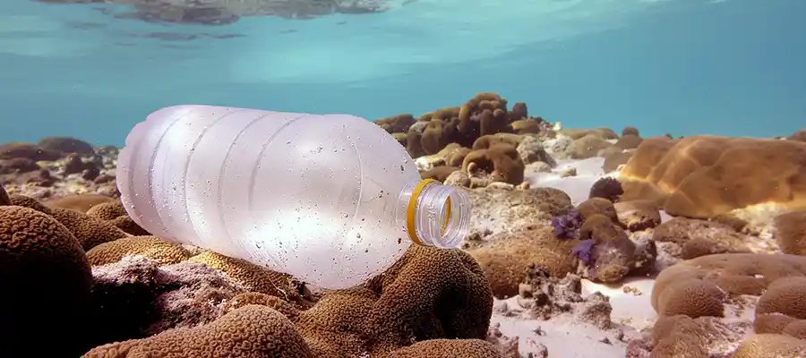 chronicles emma trash hero plastic bottle Plastic bottle laying on coral underwater