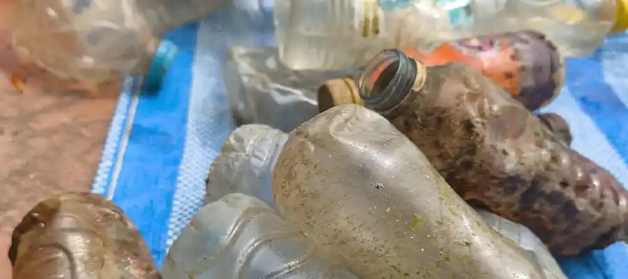 chronicles emma trash hero trash collection Trash bottles found on shore dive