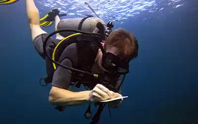 Why Responsible Diving in Thailand Isn’t Optional at Crystal (Ethical Diving Is Who We Are)