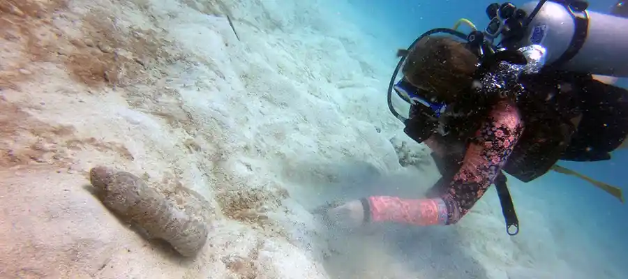 Being an eco friendly dive centre and picking up trash on dives