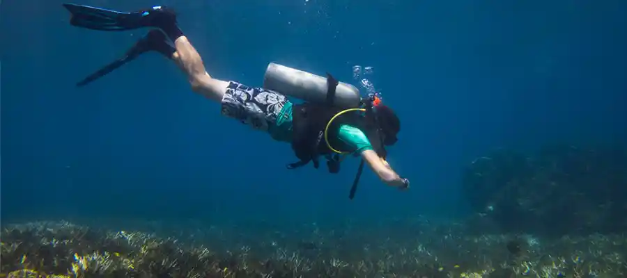 Diver above coral reef