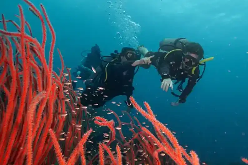 SSI Divemaster Lifestyle Candidates fun diving near coral around Koh Tao Thailand