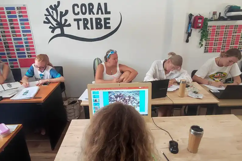 Coral Restoration planning with DMCR on Koh Tao
