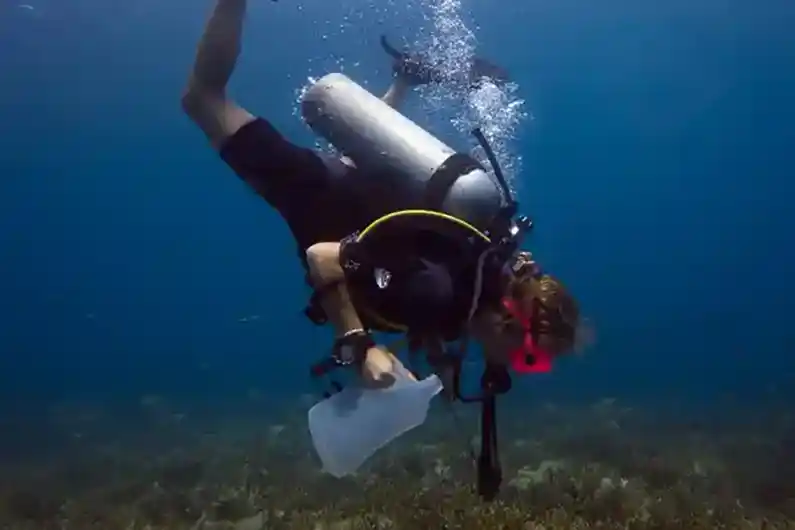 Drupella Snail collection dive on Koh Tao with a Marine Conservation Internship