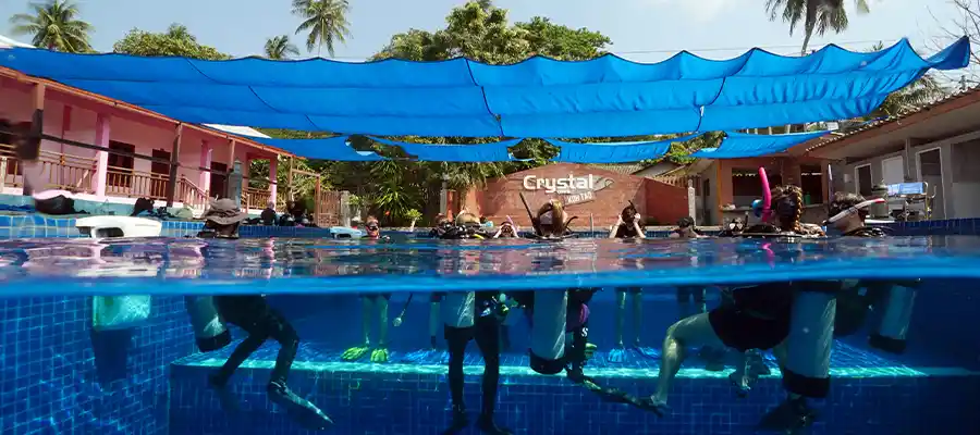 chronicles best school on koh tao pool training Training pool at the best dive school on Koh Tao