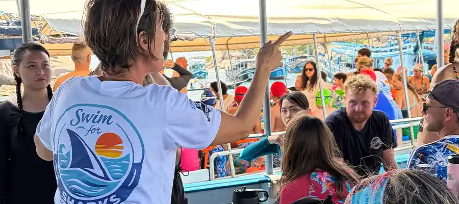 chronicles swim for sharks koh tao boat briefing Boat briefing for Swim for Sharks Koh Tao