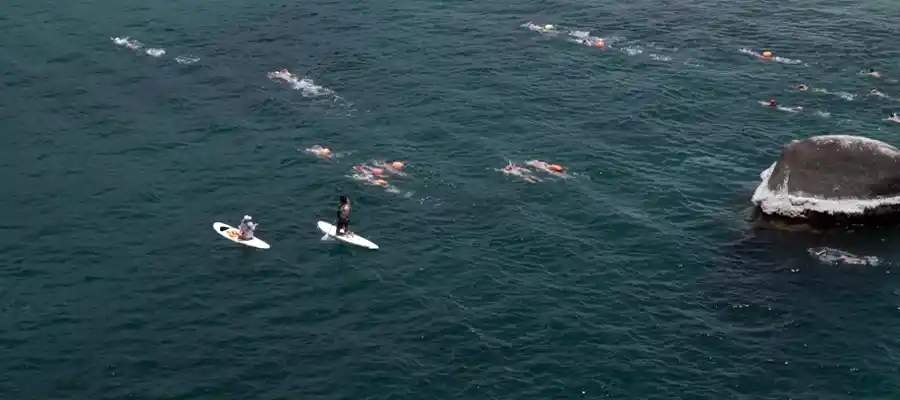 chronicles swim for sharks koh tao boat swimmers koh tao community event swimming around Koh Nang Yuan island