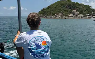 Swim for Sharks Koh Tao