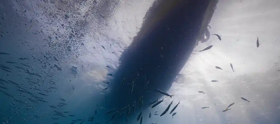 chronicles suncream and scuba boat Viewing the boat from underwater on Koh Tao